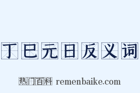 丁巳元日反义词是什么意思的图片